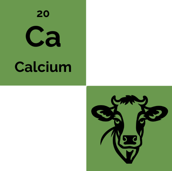 CalCow logo